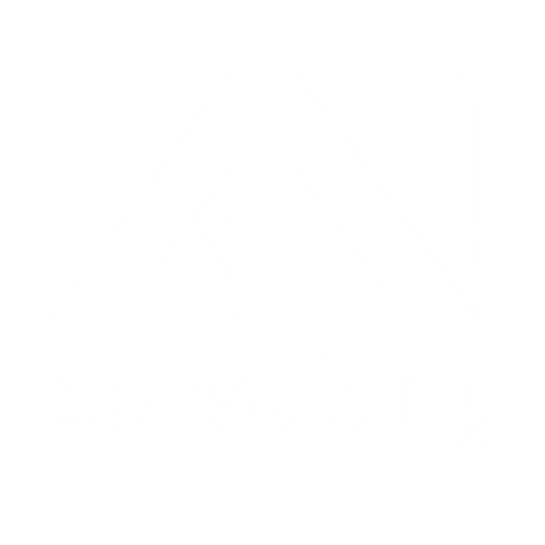 AN Consulting logo